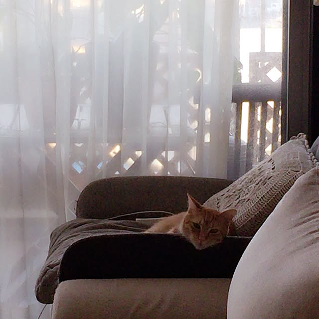 akika_naturalhomeさんの実例写真