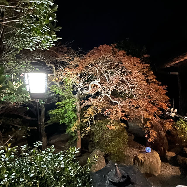 shin0719さんの実例写真