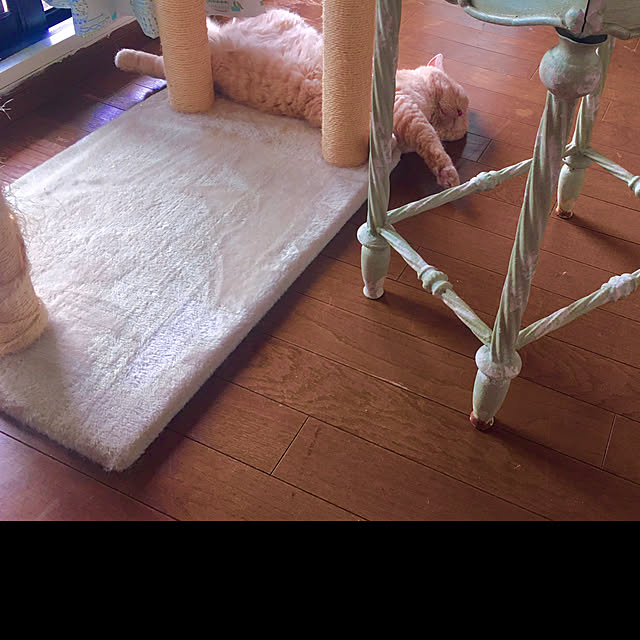 naokoさんの部屋