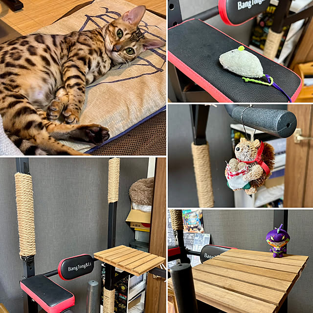 tututu0204さんの部屋