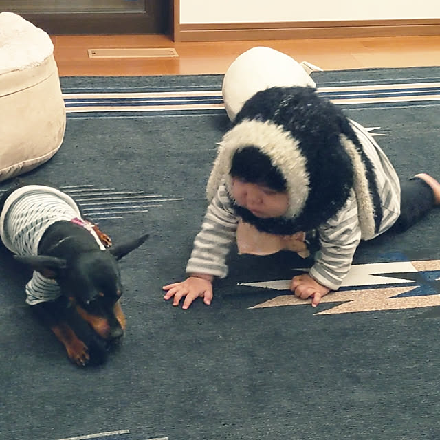 shizuponさんの実例写真