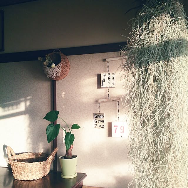 miporin0711さんの実例写真