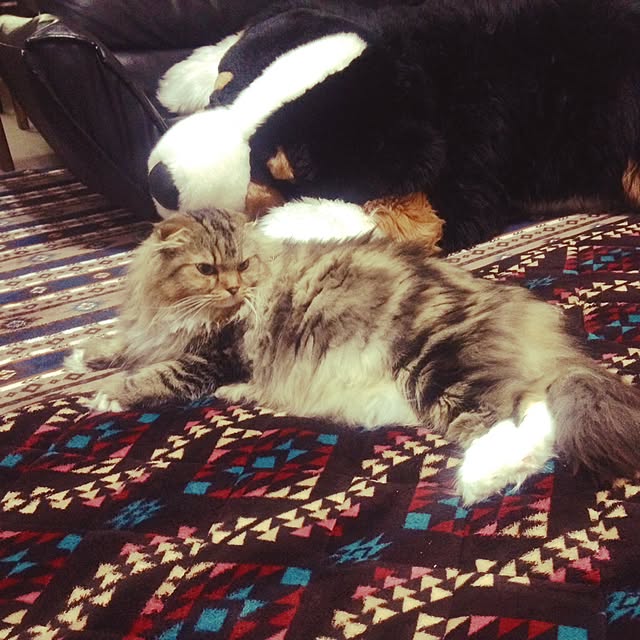 Y.Mさんの実例写真