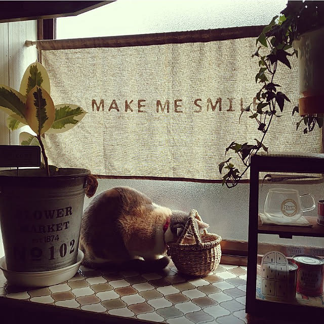 fukuさんの実例写真