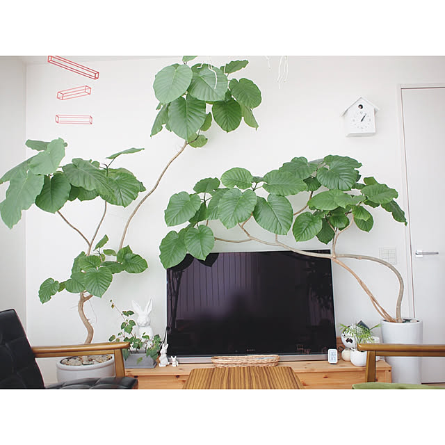 chihomilkさんの実例写真