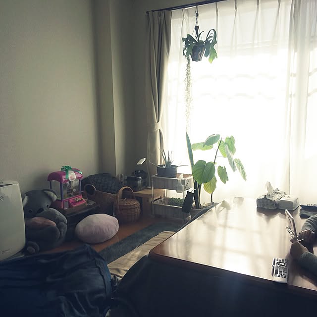 powakyonさんの実例写真