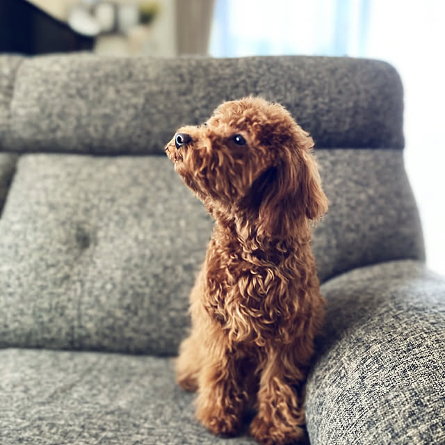 Royさんの実例写真