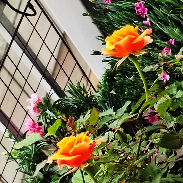 Tackunさんの実例写真