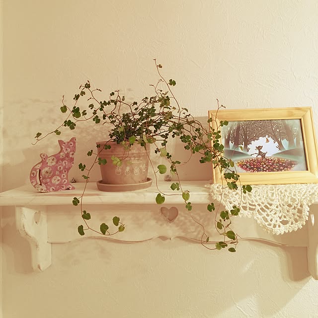 棚/観葉植物/ハンドメイドのインテリア実例 - 2015-06-06 19:29:35