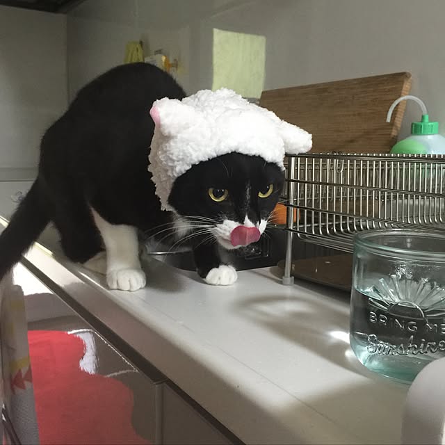 mtkさんの実例写真