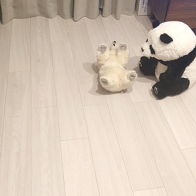 sinsinさんの実例写真