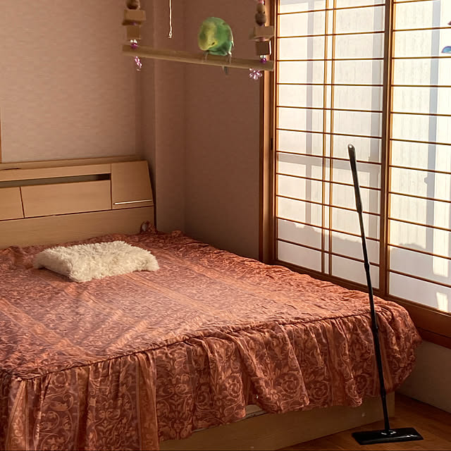 toratanさんの実例写真