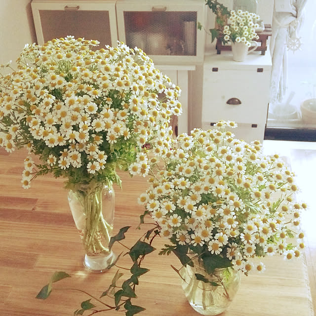 h-t-aroma-roomさんの実例写真