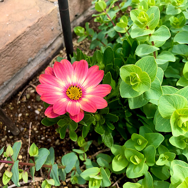 tomoさんの実例写真