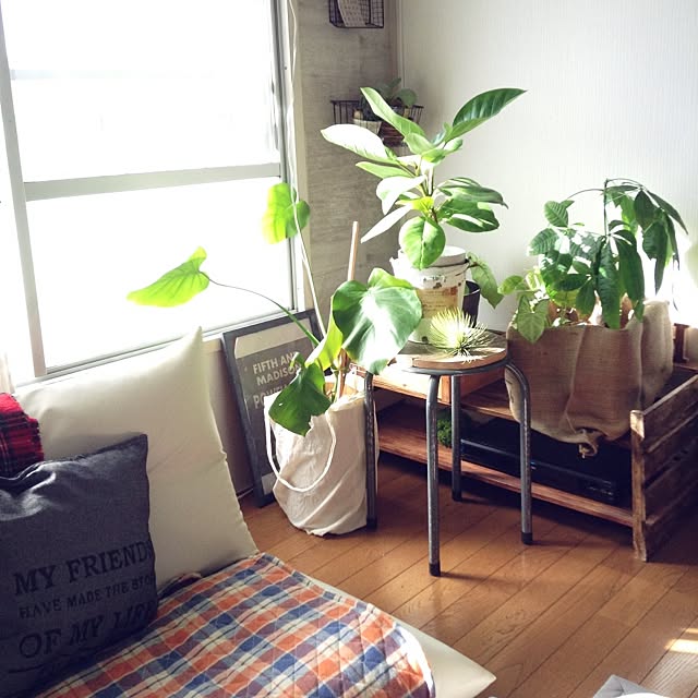 studio-fleurさんの実例写真