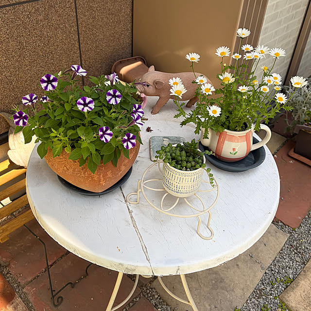 puriyuzuさんの部屋