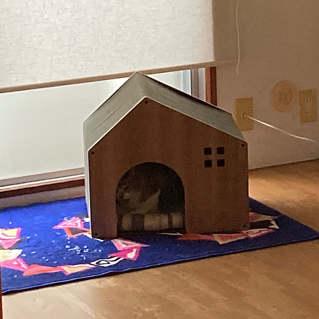 新築一戸建て/部屋全体のインテリア実例 - 2021-09-14 12:07:10