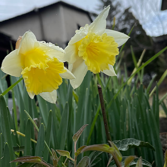 natsumiさんの部屋