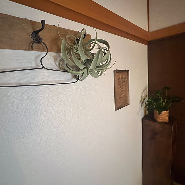 rookuさんの部屋