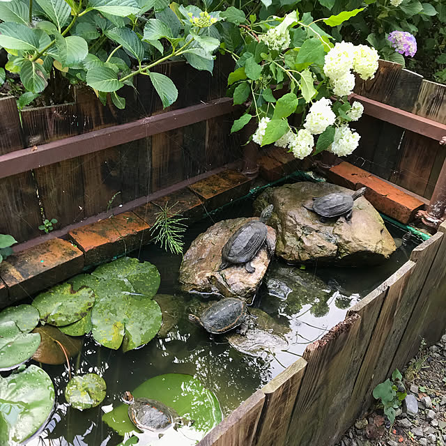 pepeさんの実例写真