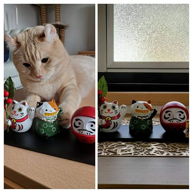 makoさんの実例写真