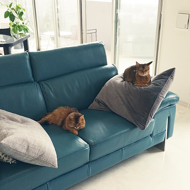 aco_64さんの実例写真