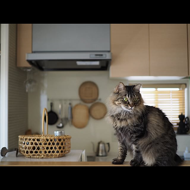 sachiblancさんの実例写真
