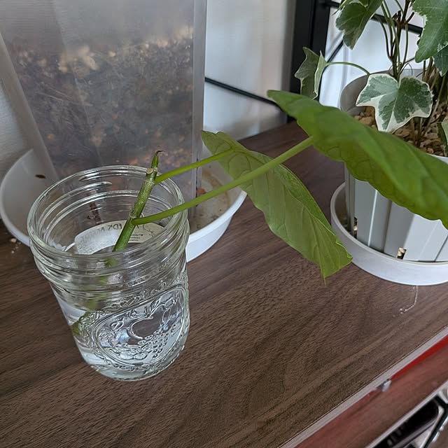 kolo92さんの部屋