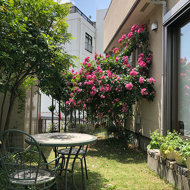 roserose555さんの実例写真