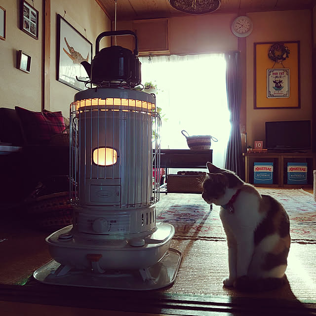 fukuさんの実例写真