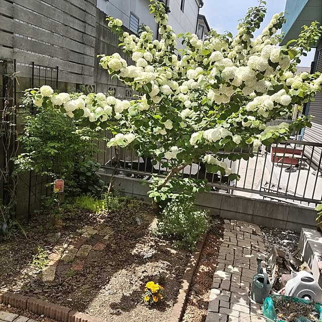 yuuさんの実例写真