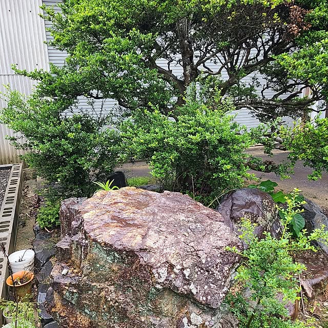 Rubiconさんの部屋