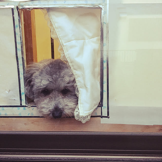 reonmamaさんの実例写真