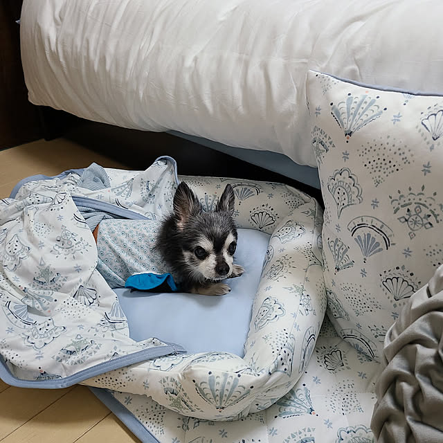 lovepeaceさんの実例写真