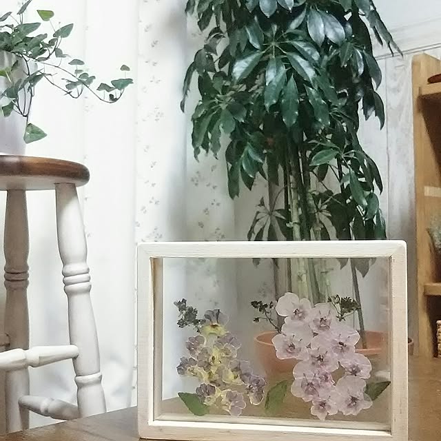 naopyiさんの実例写真