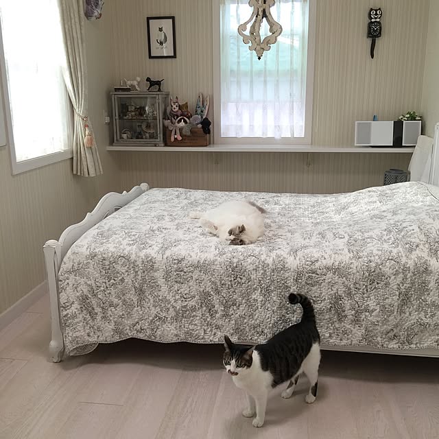yuchiさんの実例写真