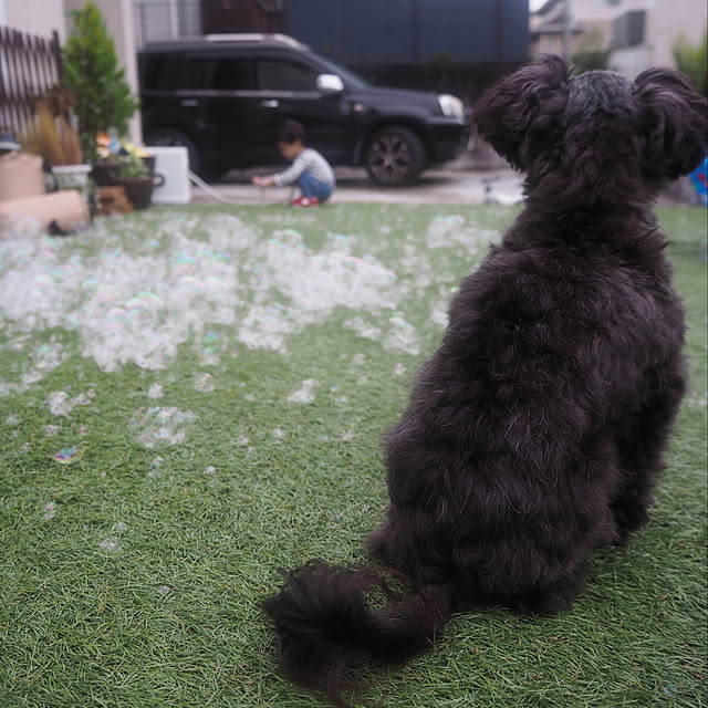 Ayumiさんの実例写真