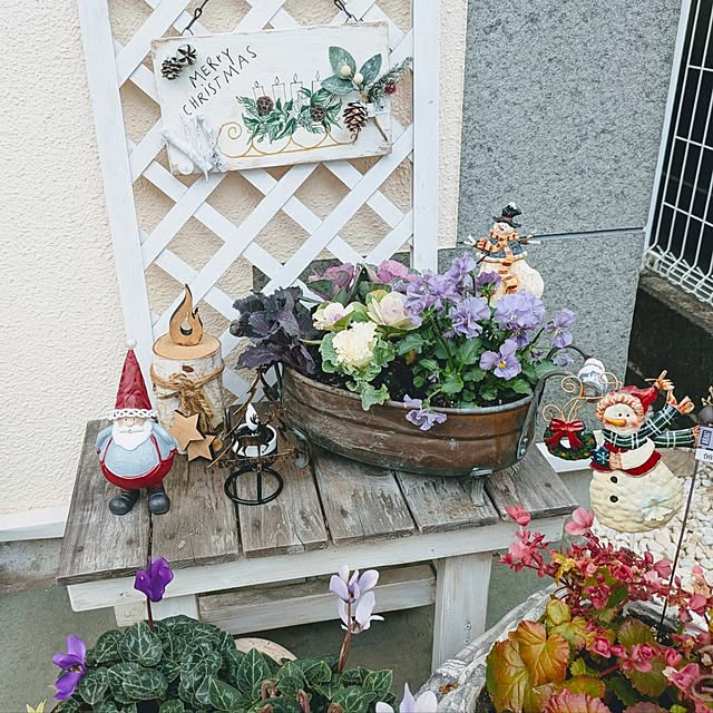 purpureさんの部屋