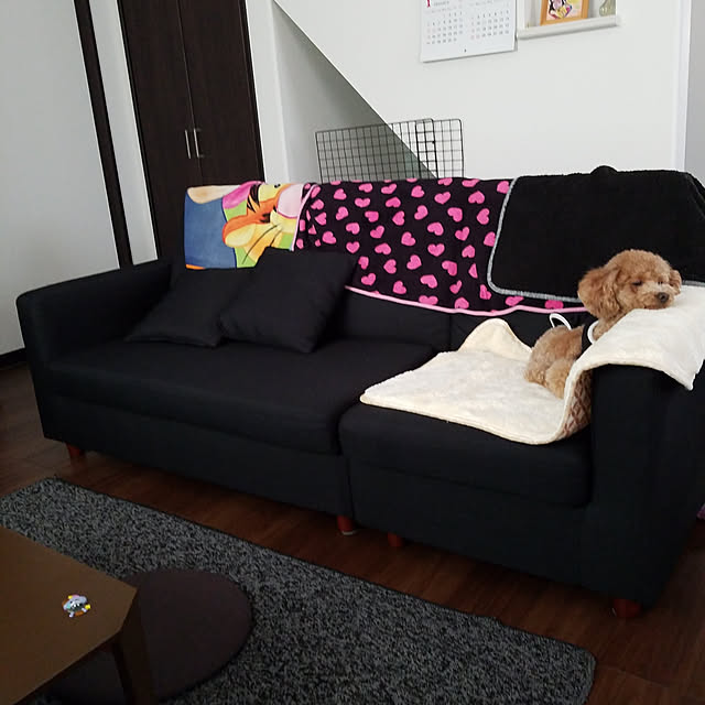 hayusa120603さんの部屋
