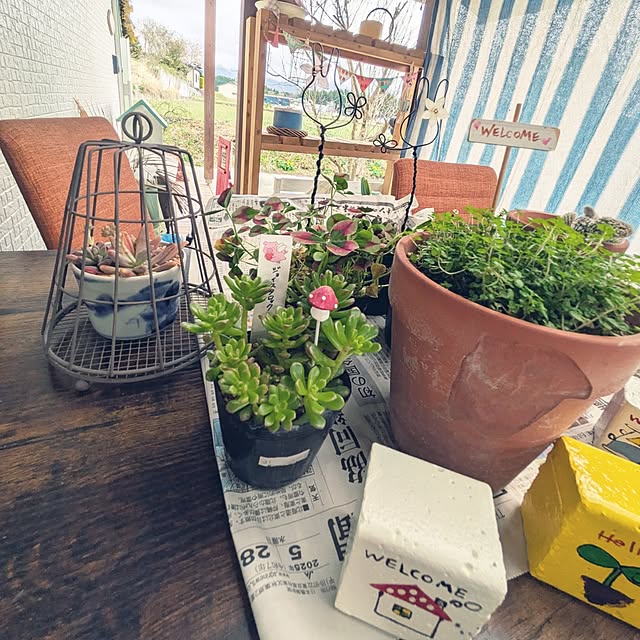 prepreさんの実例写真