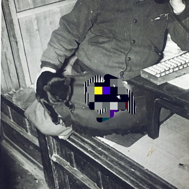 takakuzenさんの実例写真