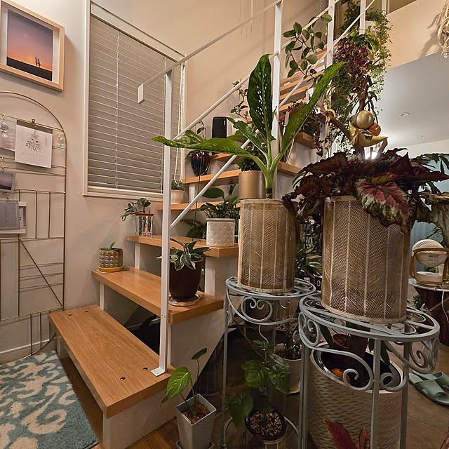 nonbiri_house_さんの部屋