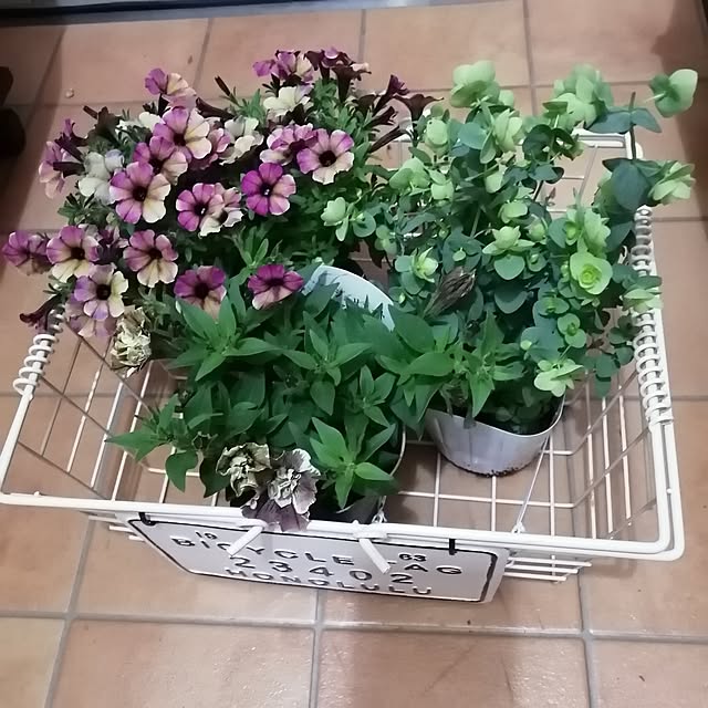teruminさんの部屋