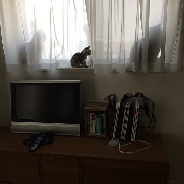 mikomaruさんの実例写真