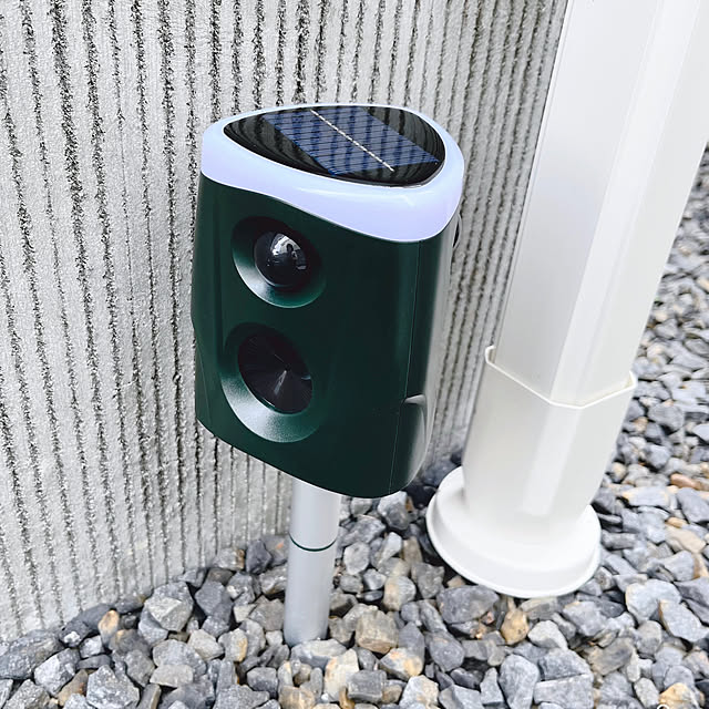 erikaさんの部屋