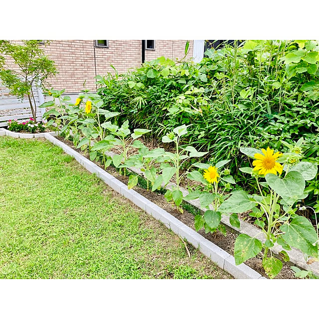 Andreaさんの実例写真