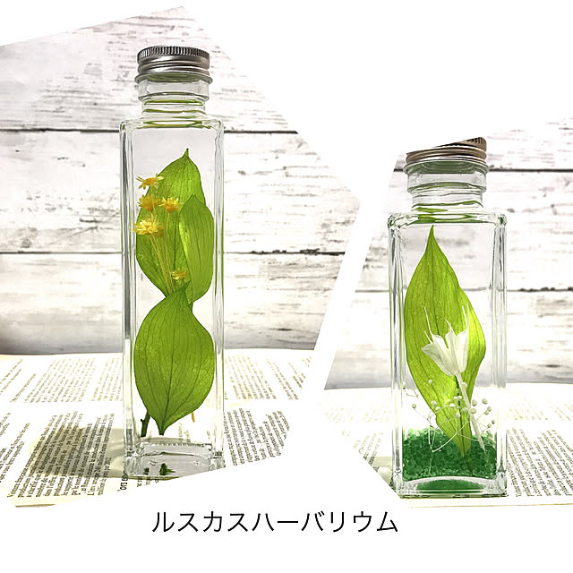 Satoshiさんの実例写真