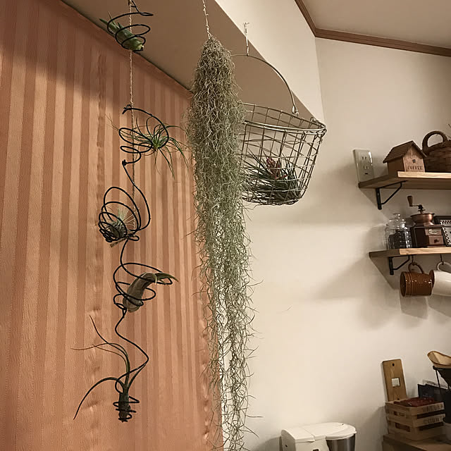 HIRAMEさんの実例写真