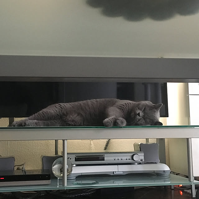 kittyさんの実例写真