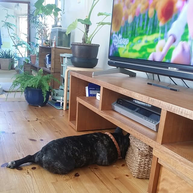 kuuuuさんの実例写真